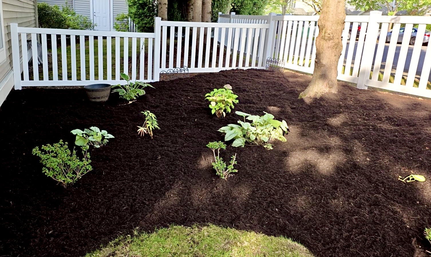 🍁 The Secret to a Healthier Garden: Why Smart Homeowners Mulch in Fall
